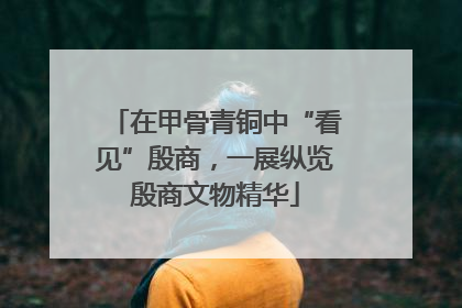 在甲骨青铜中“看见”殷商，一展纵览殷商文物精华