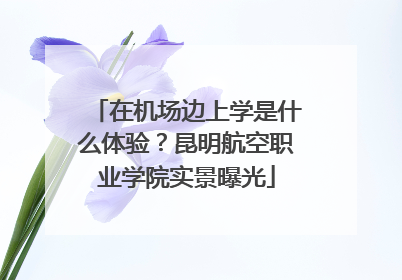 在机场边上学是什么体验？昆明航空职业学院实景曝光