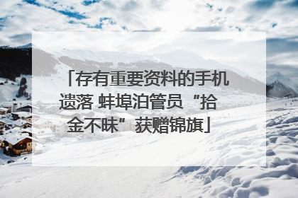 存有重要资料的手机遗落 蚌埠泊管员“拾金不昧”获赠锦旗