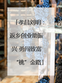 孝昌刘明：返乡创业助振兴 勇闯致富“桃”金路