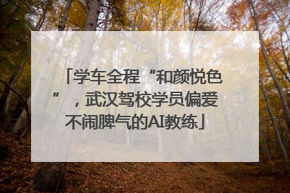 学车全程“和颜悦色”，武汉驾校学员偏爱不闹脾气的AI教练