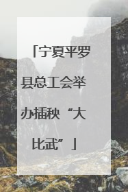 宁夏平罗县总工会举办插秧“大比武”