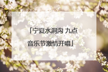 宁夏水洞沟 九点音乐节激情开唱