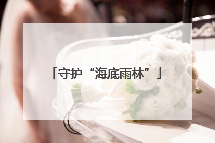 守护“海底雨林”