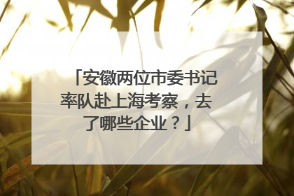 安徽两位市委书记率队赴上海考察，去了哪些企业？