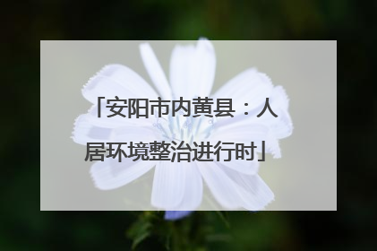 安阳市内黄县：人居环境整治进行时