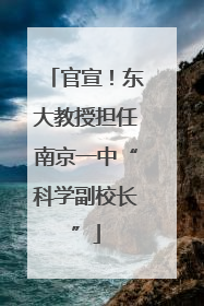 官宣！东大教授担任南京一中“科学副校长”