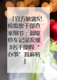 官方披露纪检监察干部查案细节：调取停车记录发现3名干部假“办事”真麻将