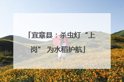 宜章县：杀虫灯“上岗” 为水稻护航