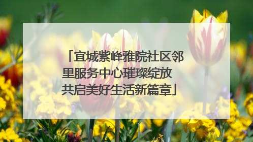 宜城紫峰雅院社区邻里服务中心璀璨绽放 共启美好生活新篇章