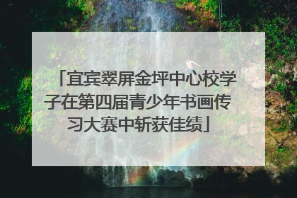 宜宾翠屏金坪中心校学子在第四届青少年书画传习大赛中斩获佳绩