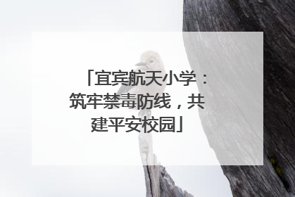 宜宾航天小学：筑牢禁毒防线，共建平安校园