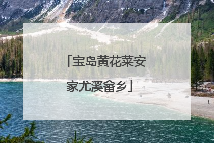 宝岛黄花菜安家尤溪畲乡