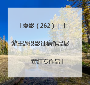 夏影（262）｜上游主题摄影征稿作品展——黄红专作品