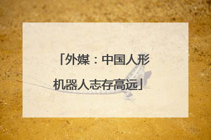 外媒：中国人形机器人志存高远