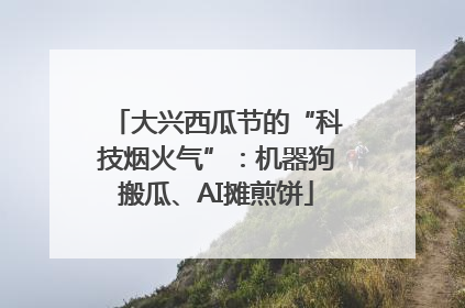 大兴西瓜节的“科技烟火气”：机器狗搬瓜、AI摊煎饼