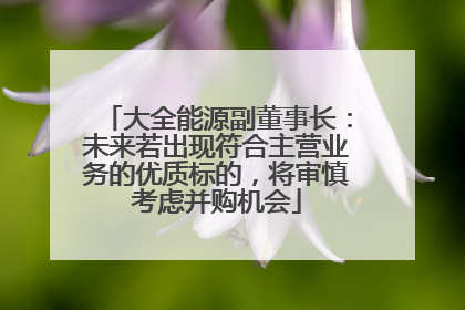 大全能源副董事长：未来若出现符合主营业务的优质标的，将审慎考虑并购机会
