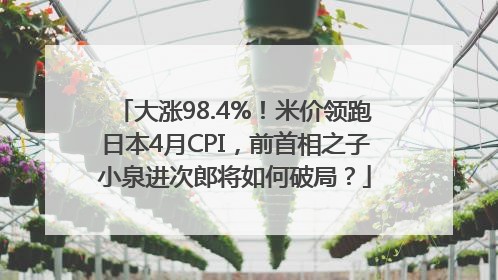 大涨98.4%！米价领跑日本4月CPI，前首相之子小泉进次郎将如何破局？