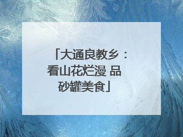 大通良教乡：看山花烂漫 品砂罐美食