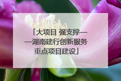 大项目 强支撑——湖南建行创新服务重点项目建设
