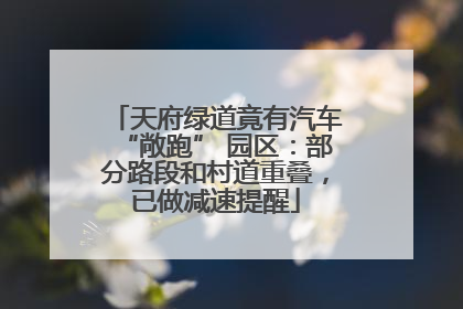 天府绿道竟有汽车“敞跑” 园区：部分路段和村道重叠，已做减速提醒