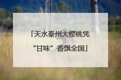 天水秦州大樱桃凭“甘味”香飘全国