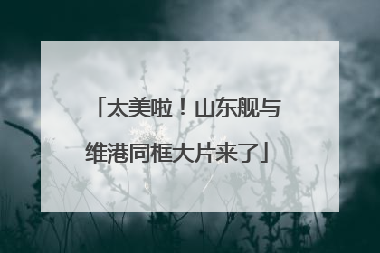 太美啦！山东舰与维港同框大片来了