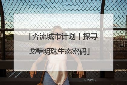 奔流城市计划丨探寻戈壁明珠生态密码