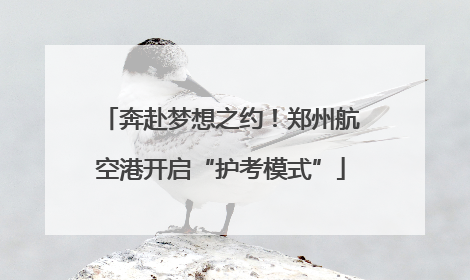 奔赴梦想之约！郑州航空港开启“护考模式”