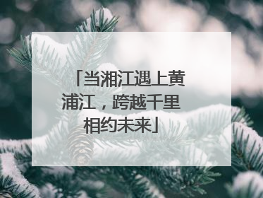 当湘江遇上黄浦江，跨越千里相约未来