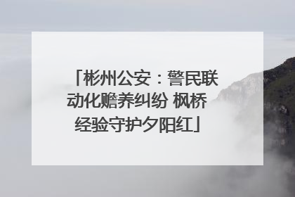 彬州公安：警民联动化赡养纠纷 枫桥经验守护夕阳红