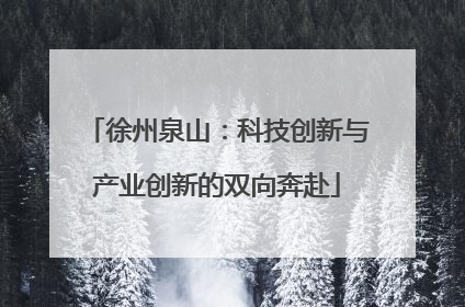 徐州泉山：科技创新与产业创新的双向奔赴