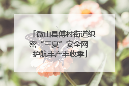 微山县傅村街道织密“三夏”安全网 护航丰产丰收季