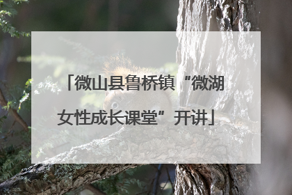 微山县鲁桥镇“微湖女性成长课堂”开讲