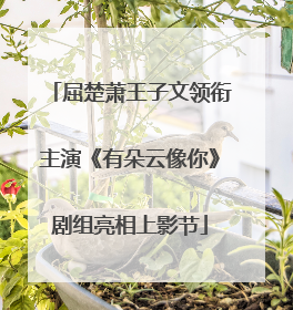 屈楚萧王子文领衔主演《有朵云像你》剧组亮相上影节