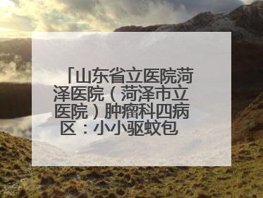 山东省立医院菏泽医院（菏泽市立医院）肿瘤科四病区：小小驱蚊包 暖暖医患情