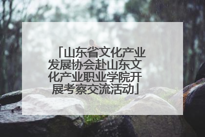 山东省文化产业发展协会赴山东文化产业职业学院开展考察交流活动
