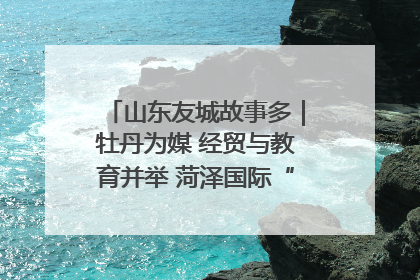 山东友城故事多｜牡丹为媒 经贸与教育并举 菏泽国际“朋友圈”扩容升级