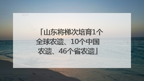 山东将梯次培育1个全球农遗、10个中国农遗、46个省农遗