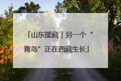 山东援藏｜另一个“青岛”正在西藏生长