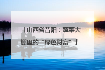 山西省昔阳：蔬菜大棚里的“绿色财富”