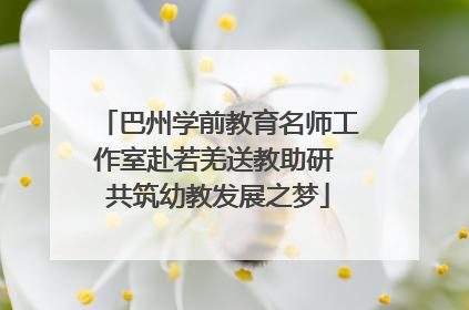 巴州学前教育名师工作室赴若羌送教助研 共筑幼教发展之梦