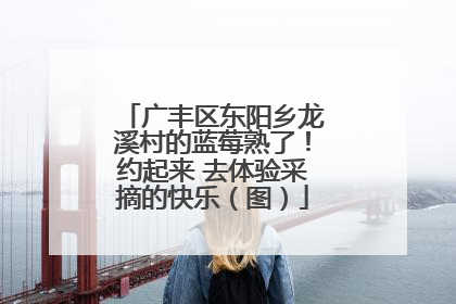 广丰区东阳乡龙溪村的蓝莓熟了！约起来 去体验采摘的快乐（图）
