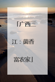 广西三江：菌香富农家