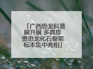 广西恐龙科普展开展 多具珍贵恐龙化石骨架标本集中亮相