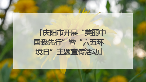 庆阳市开展“美丽中国我先行”暨“六五环境日”主题宣传活动