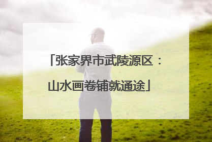 张家界市武陵源区：山水画卷铺就通途