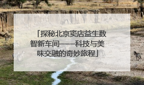 探秘北京窦店益生数智新车间——科技与美味交融的奇妙旅程