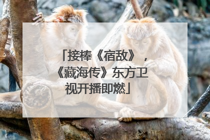 接棒《宿敌》，《藏海传》东方卫视开播即燃