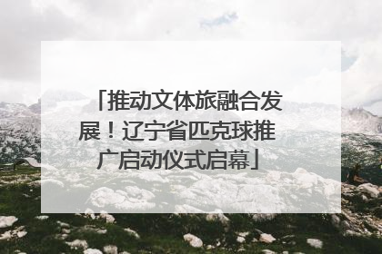 推动文体旅融合发展！辽宁省匹克球推广启动仪式启幕